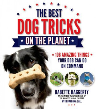 Best Dog Tricks on the Planet