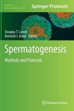 Spermatogenesis