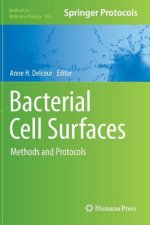 Bacterial Cell Surfaces