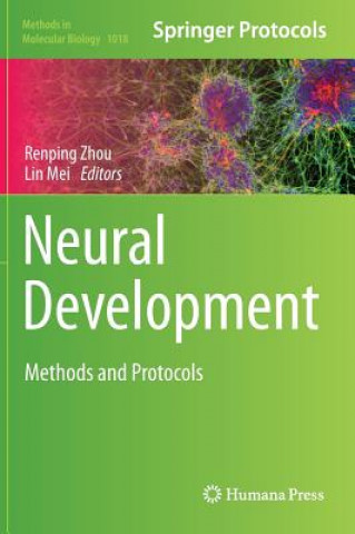 Neural Development