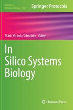 In Silico Systems Biology