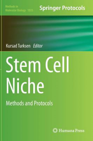 Stem Cell Niche