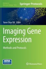 Imaging Gene Expression