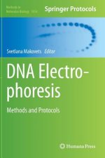 DNA Electrophoresis