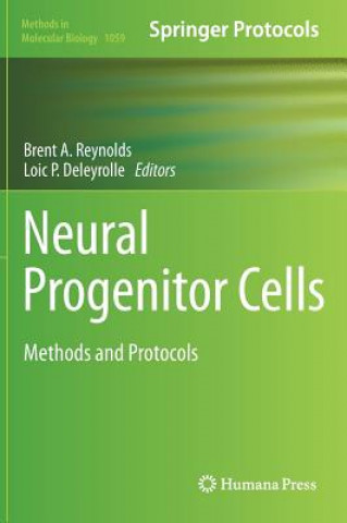 Neural Progenitor Cells