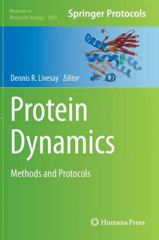 Protein Dynamics