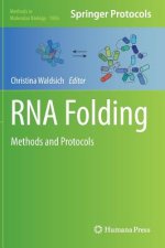 RNA Folding