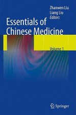 Essentials of Chinese Medicine