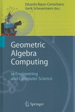 Geometric Algebra Computing