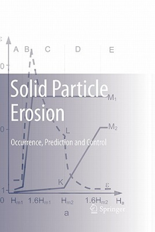 Solid Particle Erosion