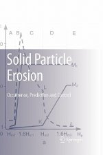 Solid Particle Erosion