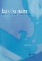 Bone Formation