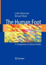 Human Foot