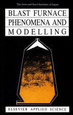 Blast Furnace Phenomena and Modelling
