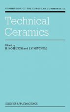 Technical Ceramics