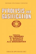 Pyrolysis and Gasification