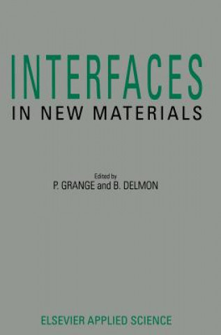 Interfaces in New Materials