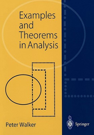 Examples and Theorems in Analysis