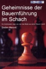 Geheimnisse der Bauernführung im Schach