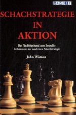Schachstrategie in Aktion