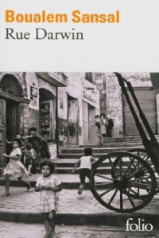 Rue Darwin