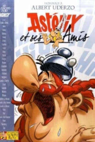 Asterix - Asterix et ses Amis