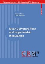 Mean Curvature Flow and Isoperimetric Inequalities