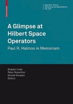 Glimpse at Hilbert Space Operators