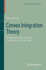 Convex Integration Theory