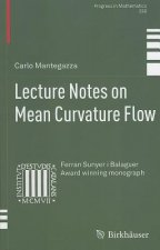 Lecture Notes on Mean Curvature Flow