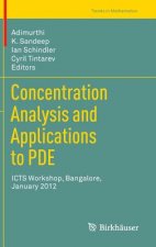 Concentration Analysis and Applications to PDE