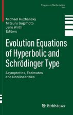 Evolution Equations of Hyperbolic and Schroedinger Type
