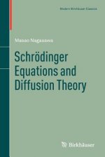 Schroedinger Equations and Diffusion Theory