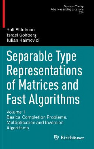 Separable Type Representations of Matrices and Fast Algorithms
