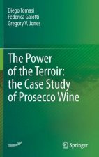 Power of the Terroir: the Case Study of Prosecco Wine