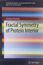 Fractal Symmetry of Protein Interior