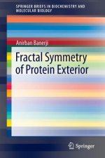 Fractal Symmetry of Protein Exterior