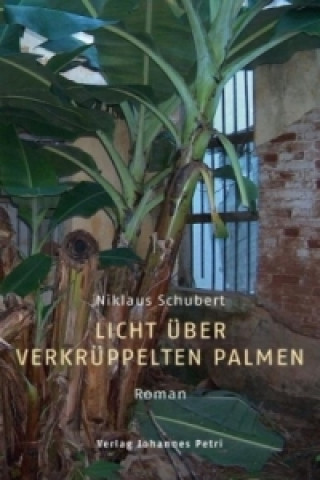 Licht über verkrüppelten Palmen