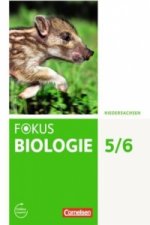 Fokus Biologie - Neubearbeitung - Gymnasium Niedersachsen G9 - 5./6. Schuljahr