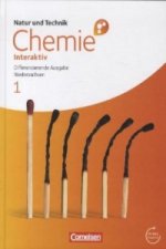 Natur und Technik - Chemie interaktiv: Differenzierende Ausgabe - Niedersachsen - Band 1: 5.-8. Schuljahr