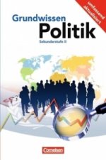 Grundwissen Politik