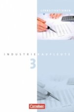 Industriekaufleute - Aktuelle Ausgabe - 3. Ausbildungsjahr: Lernfelder 10-12