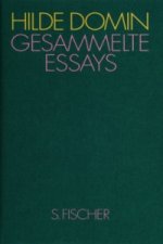 Gesammelte Essays