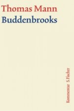 Buddenbrooks, Kommentar