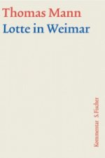 Lotte in Weimar, Kommentar