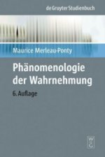 Phänomenologie der Wahrnehmung