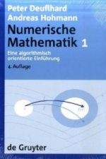 Numerische Mathematik, [band] 1, Eine Algorithmisch Orientierte Einf hrung