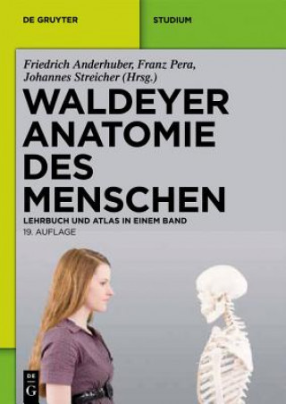 Waldeyer Anatomie des Menschen