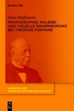 Photographie, Malerei und visuelle Wahrnehmung bei Theodor Fontane