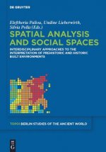 Spatial analysis and social spaces